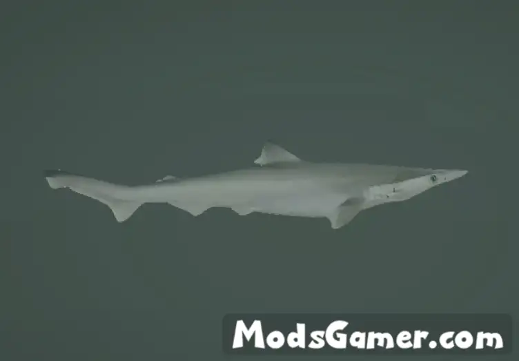 Spadenose Shark Mod - modsgamer.com